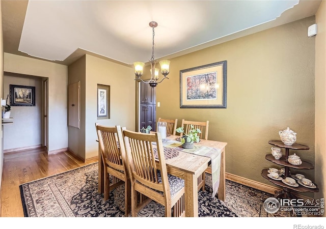 1600 Olive St, Denver, CO 80220 - photo 5