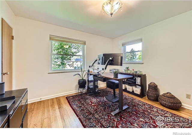 1600 Olive St, Denver, CO 80220 - photo 11