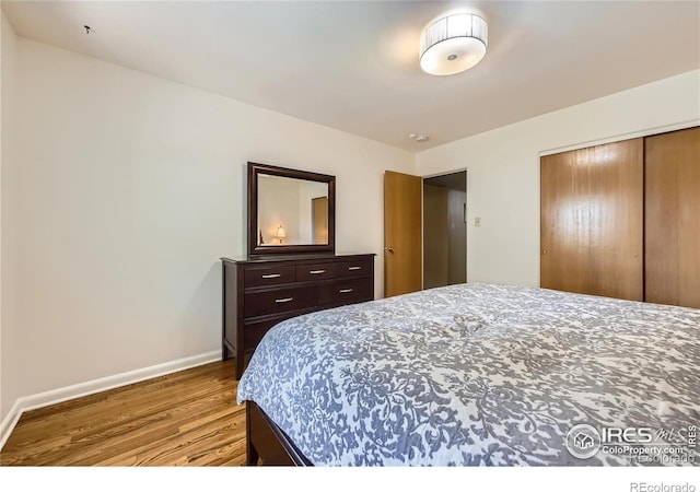 1600 Olive St, Denver, CO 80220 - photo 13