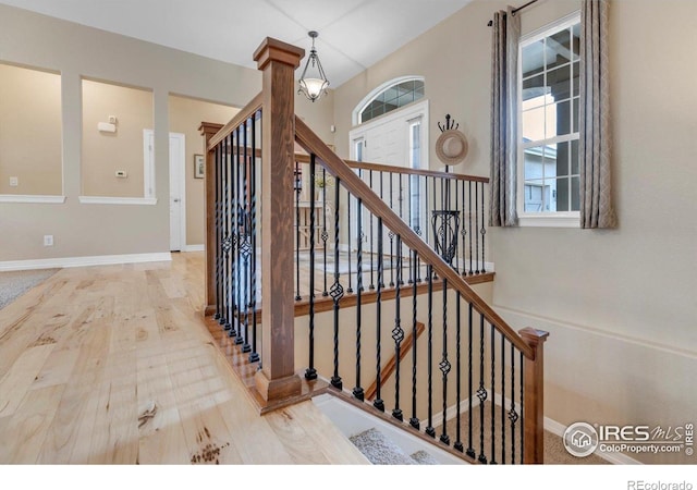 15002 Cosmos Way, Broomfield, CO 80023 - stairway featuring healthy amount of natural light and wood finished floors