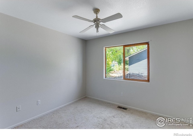 535 Ash Ave, Ault, CO 80610 - photo 19