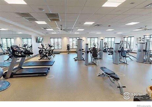 9035 S Shawnee Ct, Aurora, CO 80016 - exercise room featuring plenty of natural light and a paneled ceiling