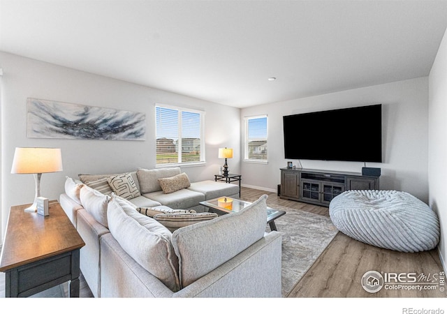 5766 Ranch St, Longmont, CO 80504 - living room featuring wood finished floors and baseboards