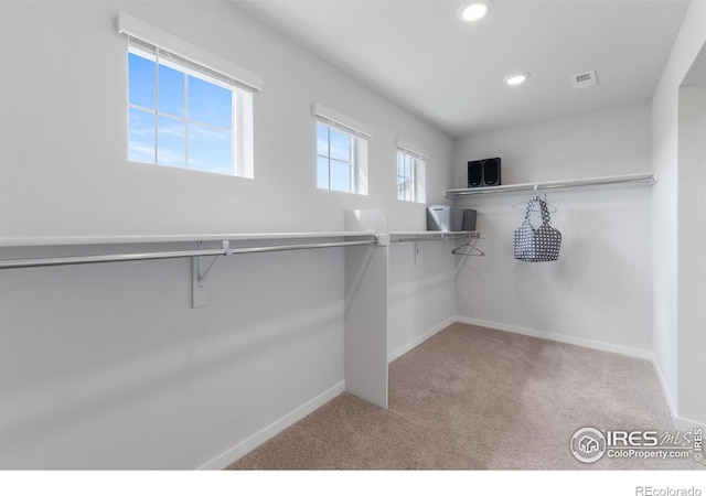 5766 Ranch St, Mead, CO 80504 - photo 35