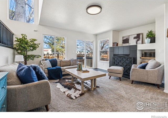 608 Bluegrass Dr, Longmont, CO 80503 - photo 16