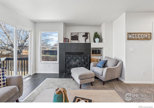 608 Bluegrass Dr, Longmont, CO 80503 - photo 31