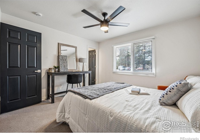 2606 Shadow Ct, Fort Collins, CO 80525 - photo 18
