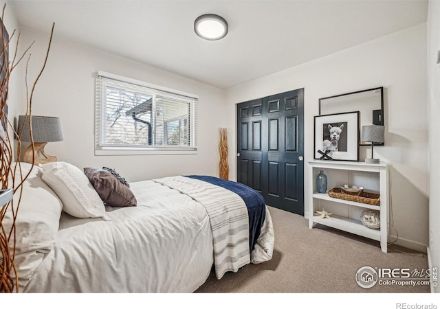2606 Shadow Ct, Fort Collins, CO 80525 - photo 23