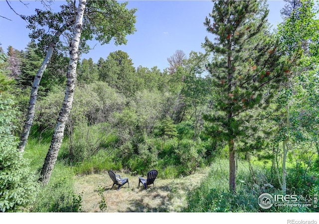 356 W Dory Way, Black Hawk, CO 80422 - photo 7