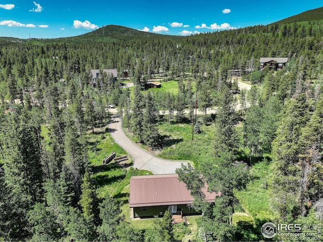 356 W Dory Way, Black Hawk, CO 80422 - photo 8