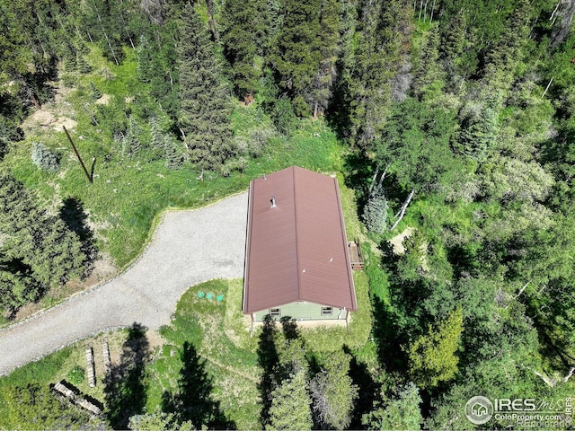 356 W Dory Way, Black Hawk, CO 80422 - photo 9