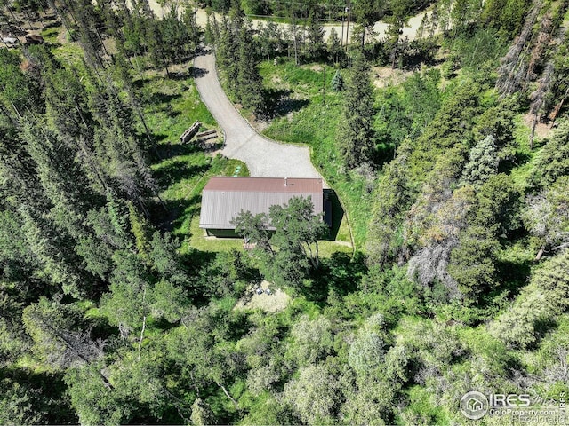 356 W Dory Way, Black Hawk, CO 80422 - photo 10