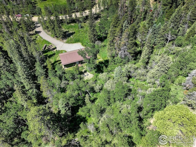 356 W Dory Way, Black Hawk, CO 80422 - photo 11