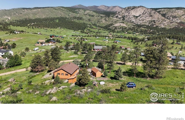 760 Palisade Mountain Dr, Drake, CO 80515 - photo 5