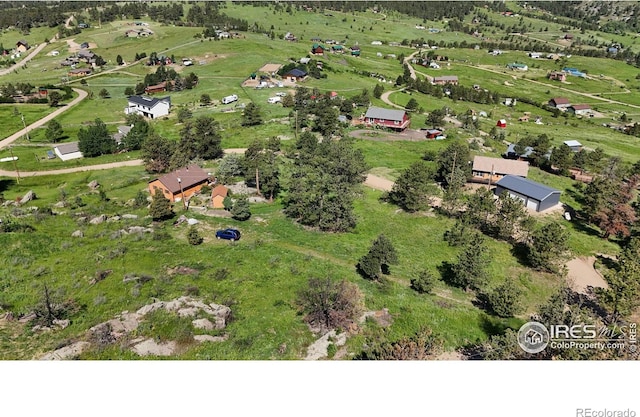 760 Palisade Mountain Dr, Drake, CO 80515 - photo 6