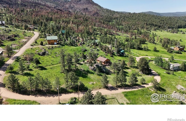 760 Palisade Mountain Dr, Drake, CO 80515 - photo 8