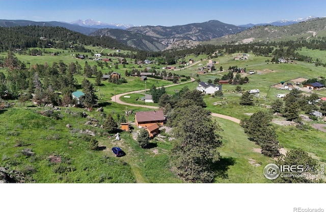 760 Palisade Mountain Dr, Drake, CO 80515 - photo 9