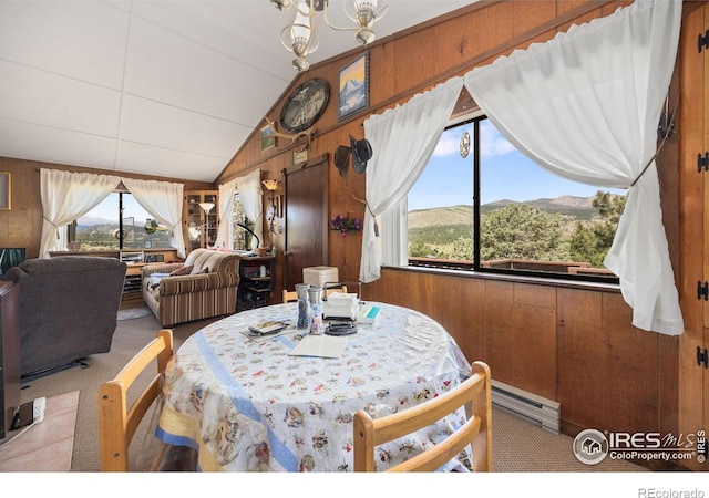 760 Palisade Mountain Dr, Drake, CO 80515 - photo 20