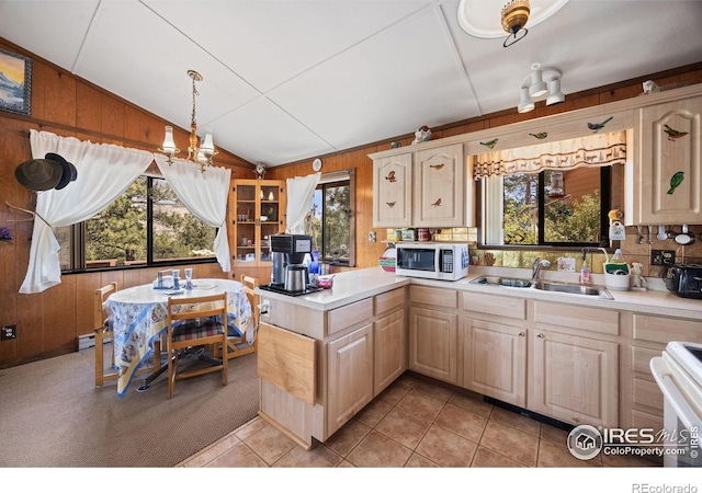 760 Palisade Mountain Dr, Drake, CO 80515 - photo 23