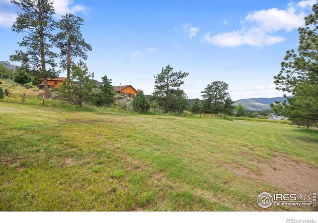 760 Palisade Mountain Dr, Drake, CO 80515 - photo 39