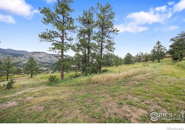 760 Palisade Mountain Dr, Drake, CO 80515 - photo 40