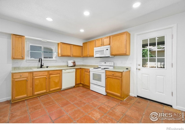 645 W 1st St, Loveland, CO 80537 - photo 8