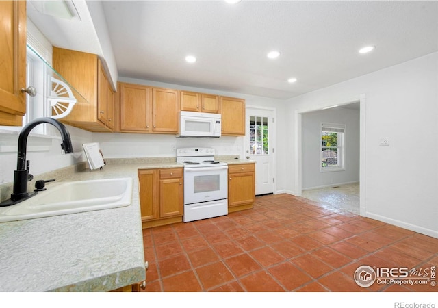 645 W 1st St, Loveland, CO 80537 - photo 10
