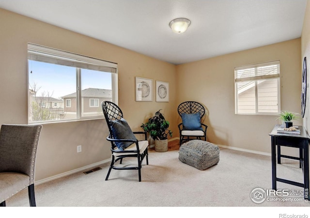 415 Houghton Ct, Fort Collins, CO 80524 - photo 19