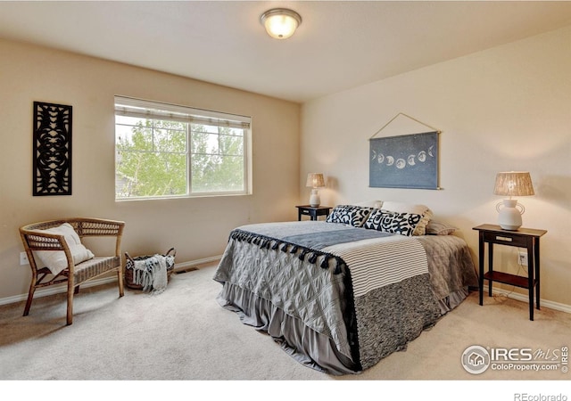 415 Houghton Ct, Fort Collins, CO 80524 - photo 21
