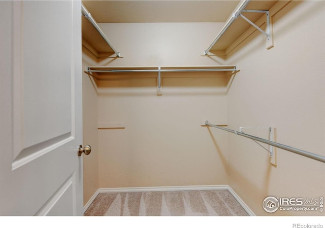 415 Houghton Ct, Fort Collins, CO 80524 - photo 24