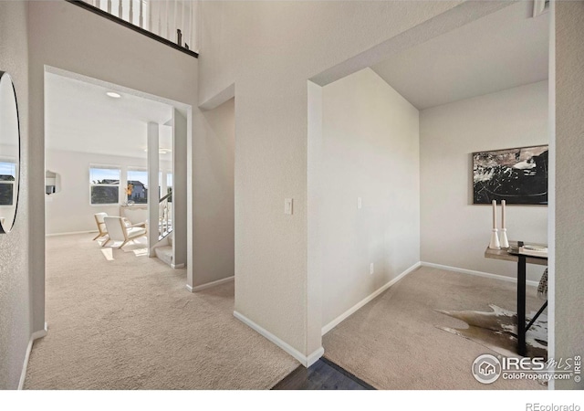 5217 Alberta Falls St, Timnath, CO 80547 - corridor with carpet and baseboards