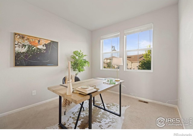 5217 Alberta Falls St, Timnath, CO 80547 - office space with carpet