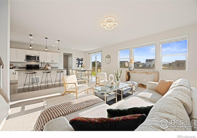 5217 Alberta Falls St, Timnath, CO 80547 - view of living area
