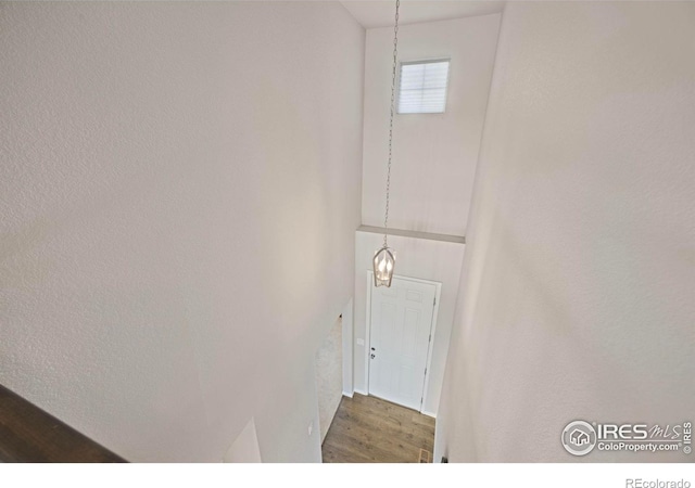 5217 Alberta Falls St, Timnath, CO 80547 - interior space featuring wood finished floors