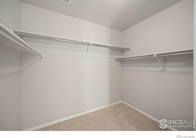 5217 Alberta Falls St, Timnath, CO 80547 - spacious closet featuring carpet floors