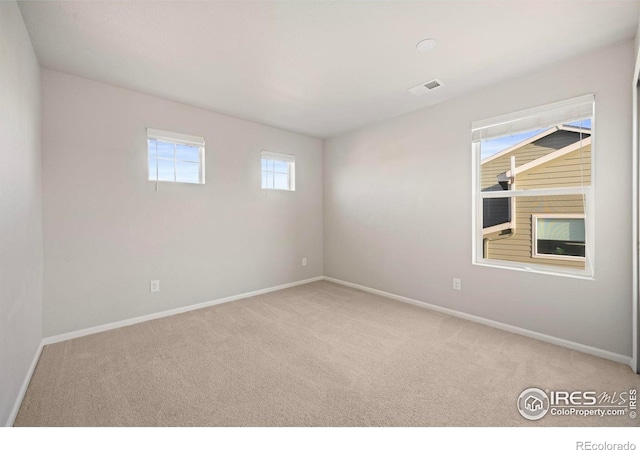 5217 Alberta Falls St, Timnath, CO 80547 - carpeted empty room with baseboards