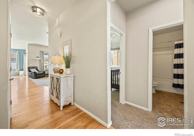 381 Mt Bross Ave, Severance, CO 80550 - photo 3