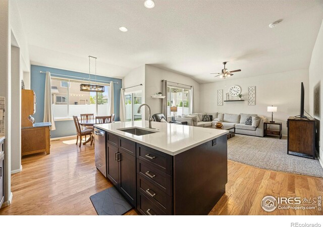 381 Mt Bross Ave, Severance, CO 80550 - photo 6
