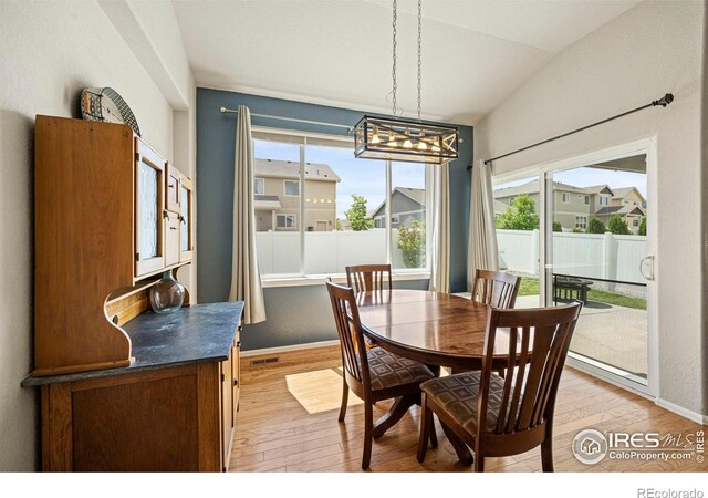 381 Mt Bross Ave, Severance, CO 80550 - photo 10