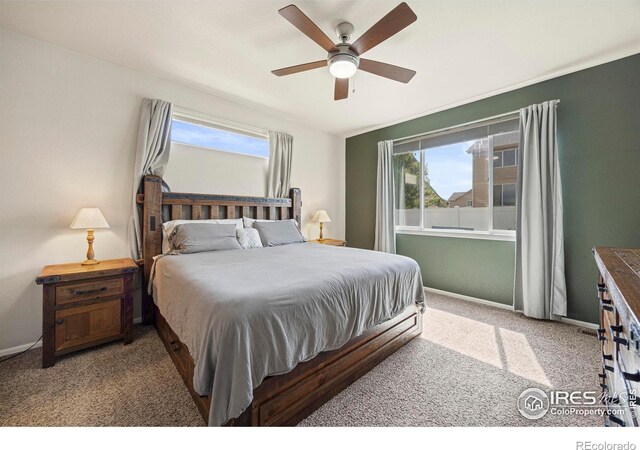 381 Mt Bross Ave, Severance, CO 80550 - photo 14