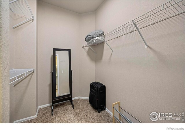 381 Mt Bross Ave, Severance, CO 80550 - photo 18