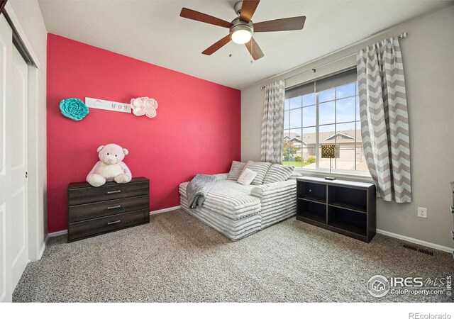381 Mt Bross Ave, Severance, CO 80550 - photo 20