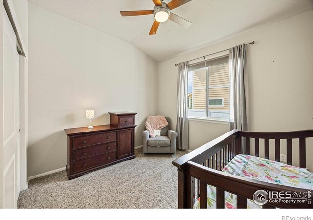 381 Mt Bross Ave, Severance, CO 80550 - photo 22