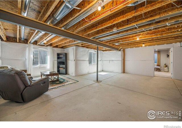 381 Mt Bross Ave, Severance, CO 80550 - photo 29