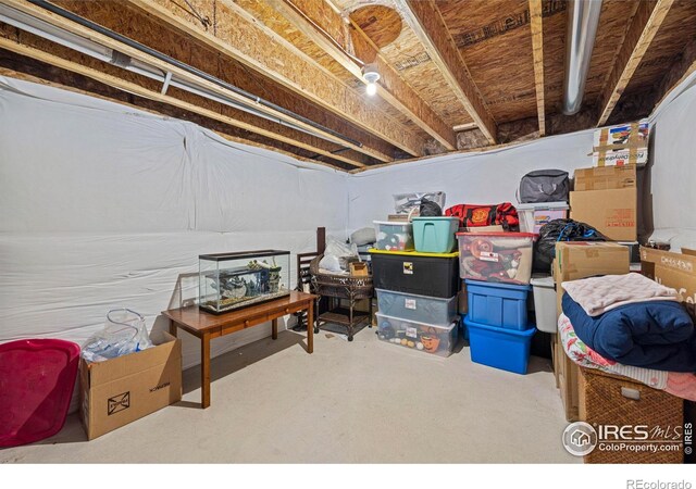 381 Mt Bross Ave, Severance, CO 80550 - photo 30