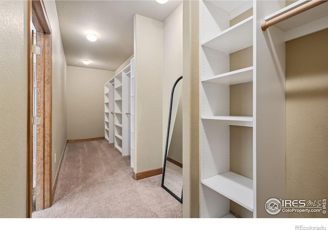 5620 Fossil Creek Pkwy Unit 2A, Fort Collins, CO 80525 - photo 12