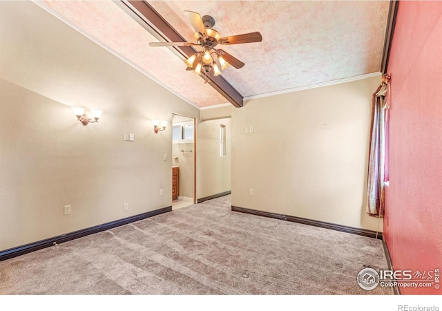 2455 22nd Ave, Greeley, CO 80631 - photo 10