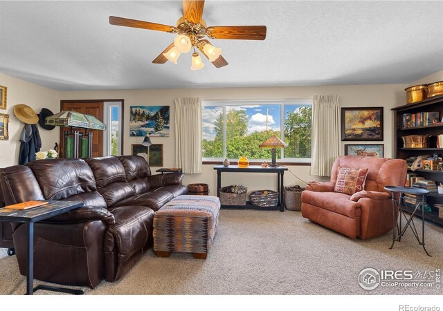 372 Logan St, Walden, CO 80480