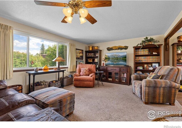 372 Logan St, Walden, CO 80480