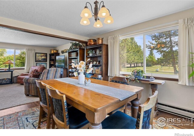 372 Logan St, Walden, CO 80480
